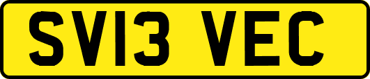 SV13VEC