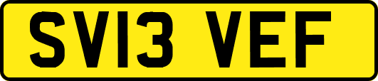 SV13VEF