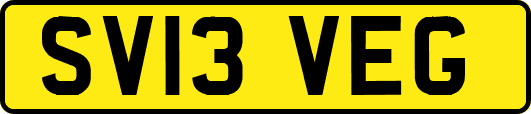 SV13VEG