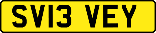 SV13VEY