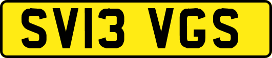 SV13VGS