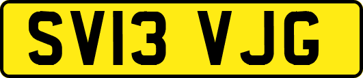 SV13VJG