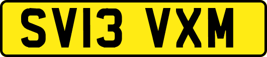 SV13VXM