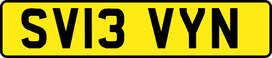SV13VYN