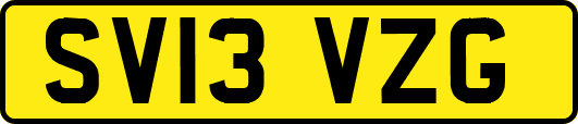 SV13VZG
