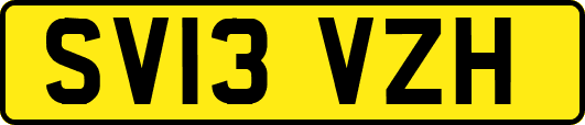 SV13VZH