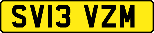SV13VZM