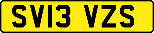SV13VZS