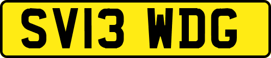 SV13WDG