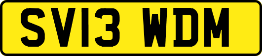SV13WDM