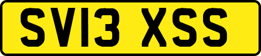 SV13XSS