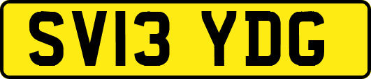 SV13YDG
