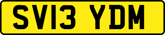 SV13YDM