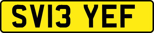 SV13YEF