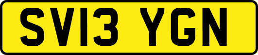 SV13YGN