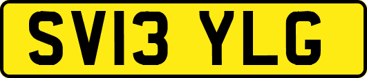SV13YLG