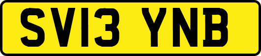 SV13YNB