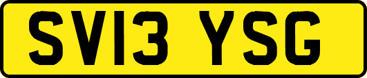 SV13YSG