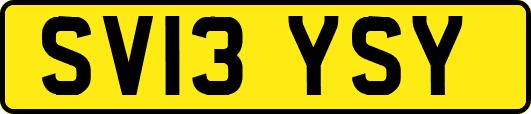 SV13YSY