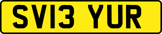 SV13YUR