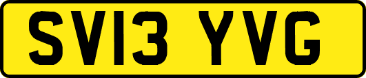 SV13YVG