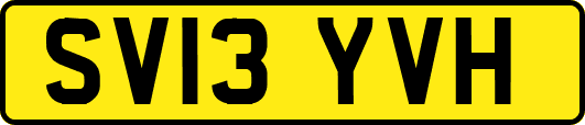 SV13YVH