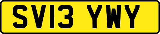 SV13YWY