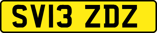 SV13ZDZ