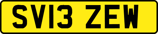 SV13ZEW
