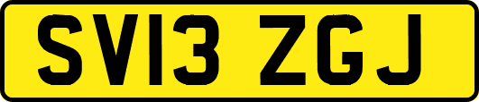SV13ZGJ