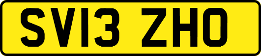 SV13ZHO