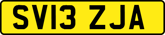 SV13ZJA