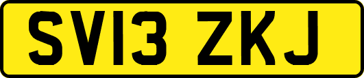 SV13ZKJ