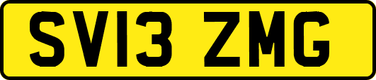 SV13ZMG