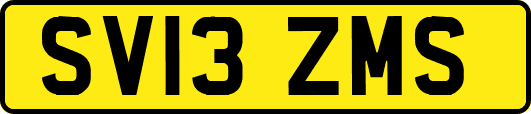 SV13ZMS