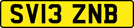 SV13ZNB