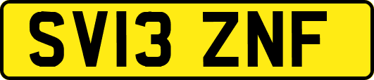 SV13ZNF