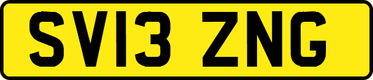 SV13ZNG
