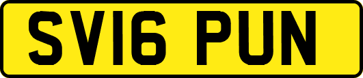 SV16PUN