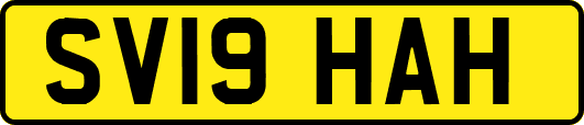 SV19HAH