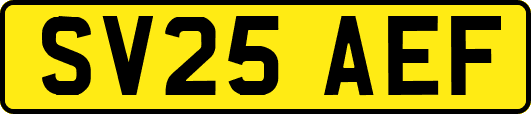 SV25AEF