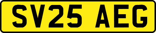SV25AEG
