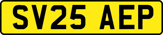 SV25AEP