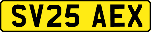 SV25AEX