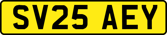 SV25AEY