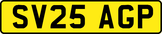 SV25AGP