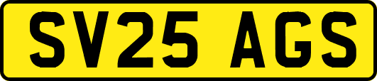 SV25AGS