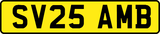 SV25AMB