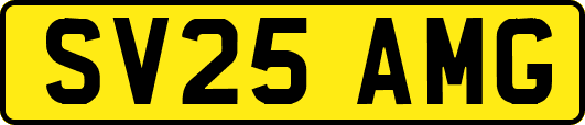 SV25AMG