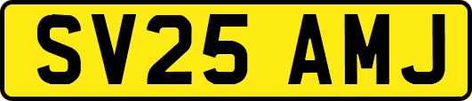 SV25AMJ